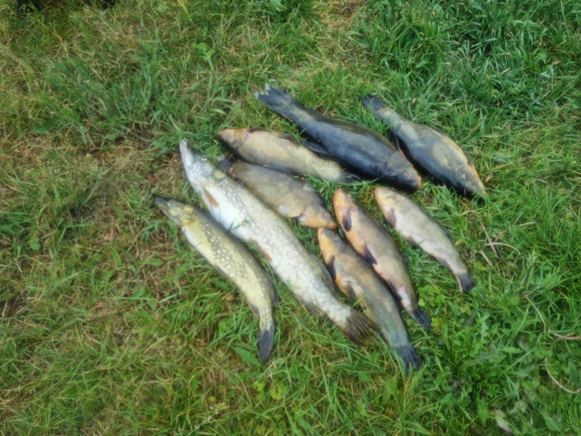 Willa Eko-Fish Miastko Zewnętrze zdjęcie