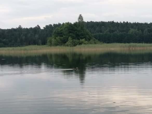 Willa Eko-Fish Miastko Zewnętrze zdjęcie