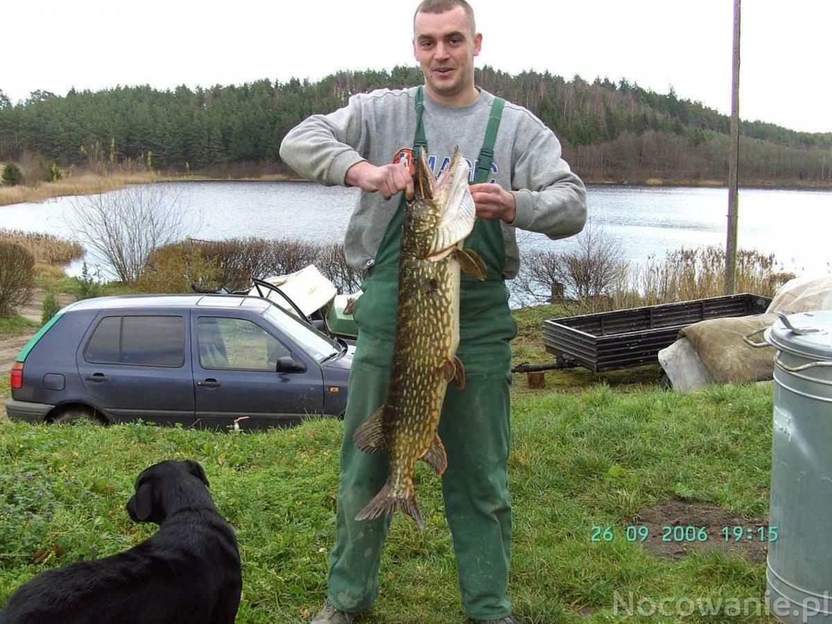 Willa Eko-Fish Miastko Zewnętrze zdjęcie